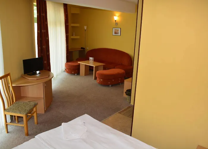 Hotell Juli Slăntjev Brjag