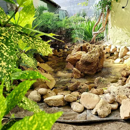 Готель Juli Сонячний Берег