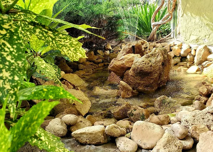 Готель Juli Сонячний Берег